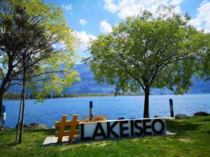 Jezioro Iseo i drzewa przy brzegu
