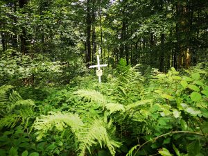 Samotny grób w lesie