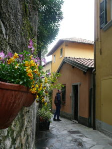 Wąska uliczka i kwiaty na murze domu w Varennie