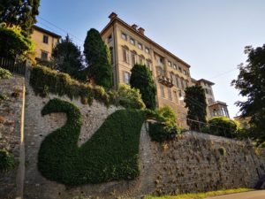 Roślinna dekoracja na murach Citta Alta w Bergamo
