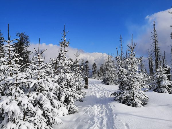 ślady nart na sniegu, Gorce, zima