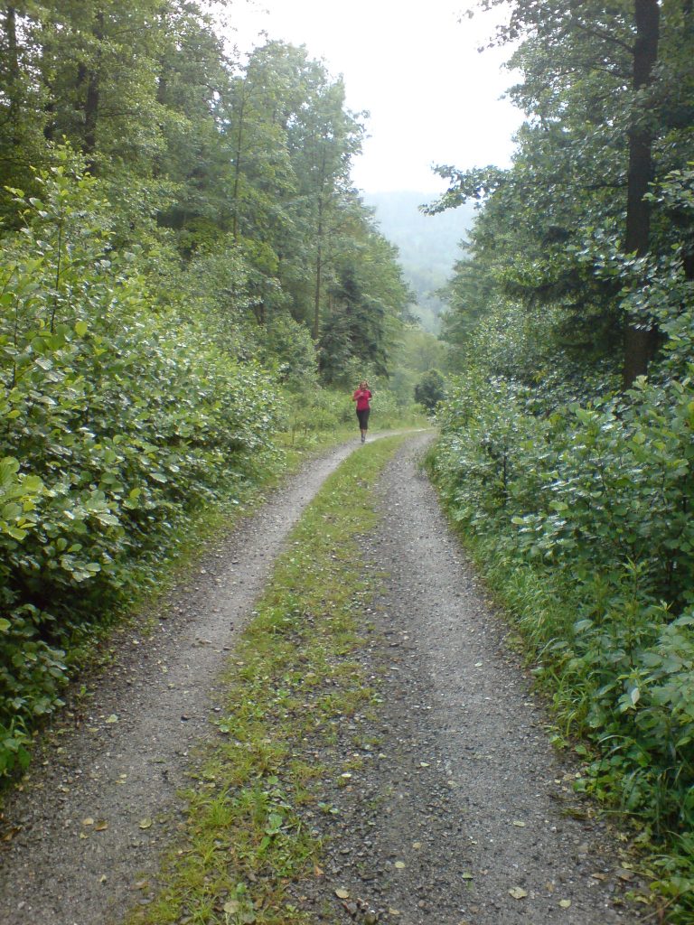 las, ścieżka, biegaczka