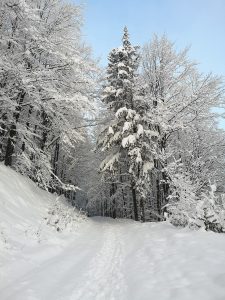 zima w Beskidach, śnieg, Szyndzielnia