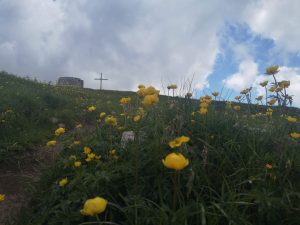Kwiaty, szczyt, Monte Stivo