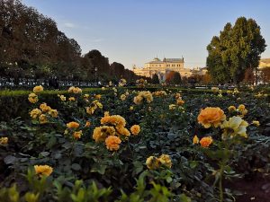Wiedeń, ogród różany