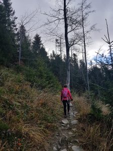 Romanka Challenge, czerwony szlak, Przełęcz Pawlusia