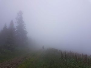 mgła, góry, turysta