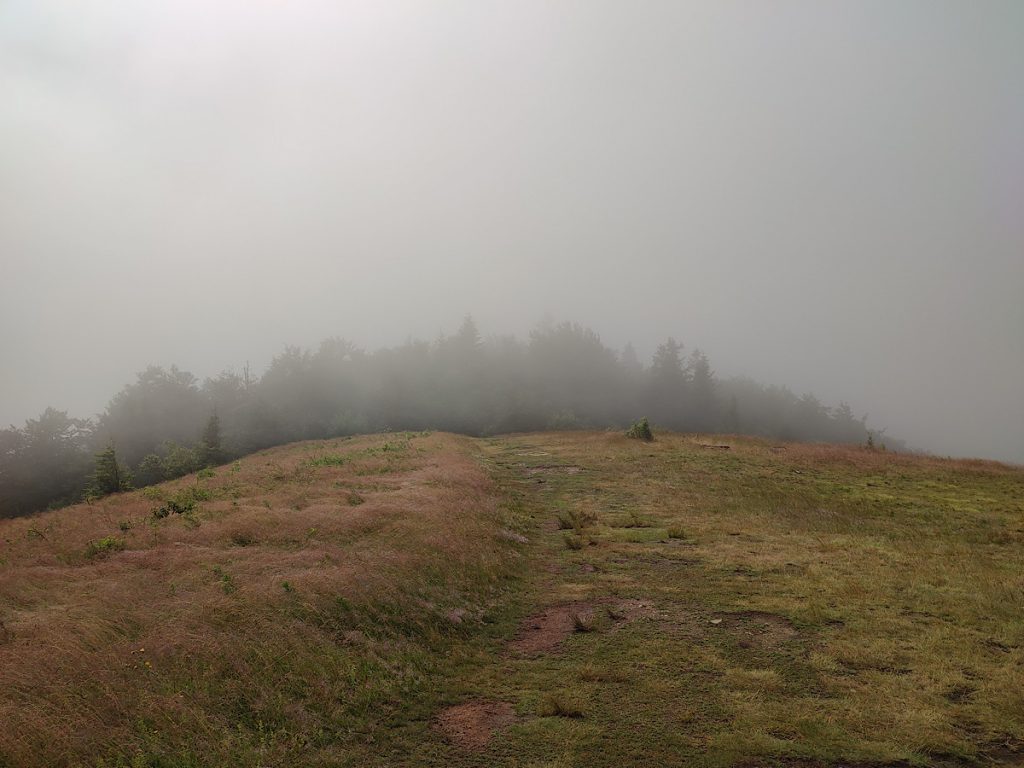 Mogielica, polana, Beskid Wyspowy