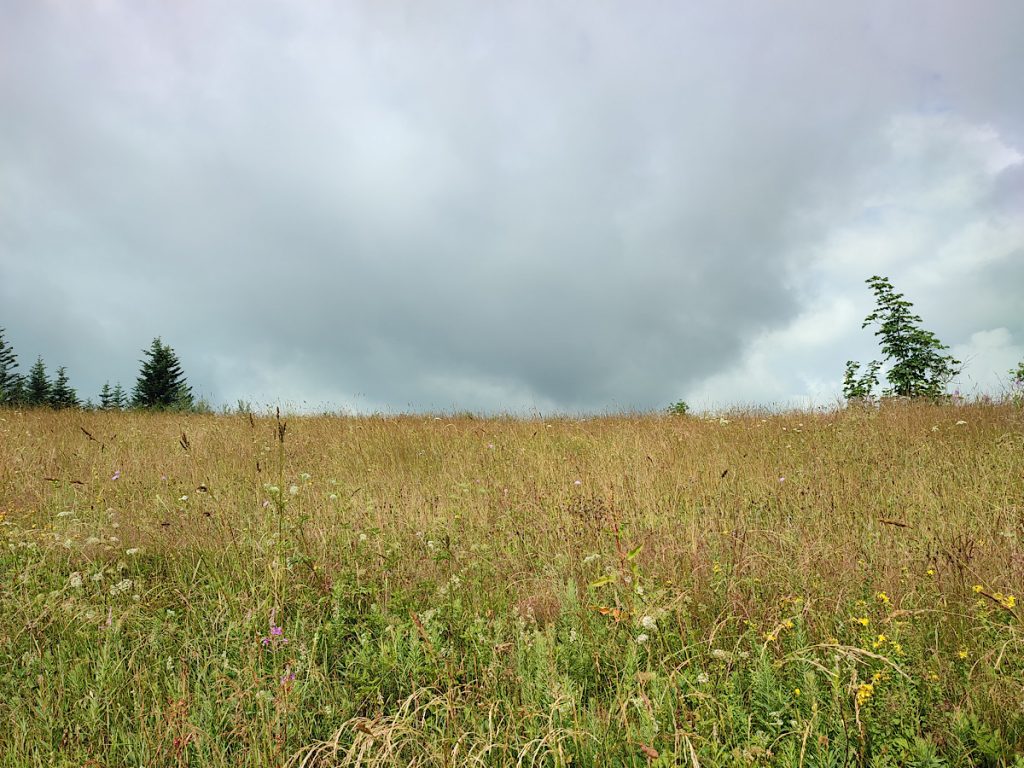 Polana, Beskid Wyspowy