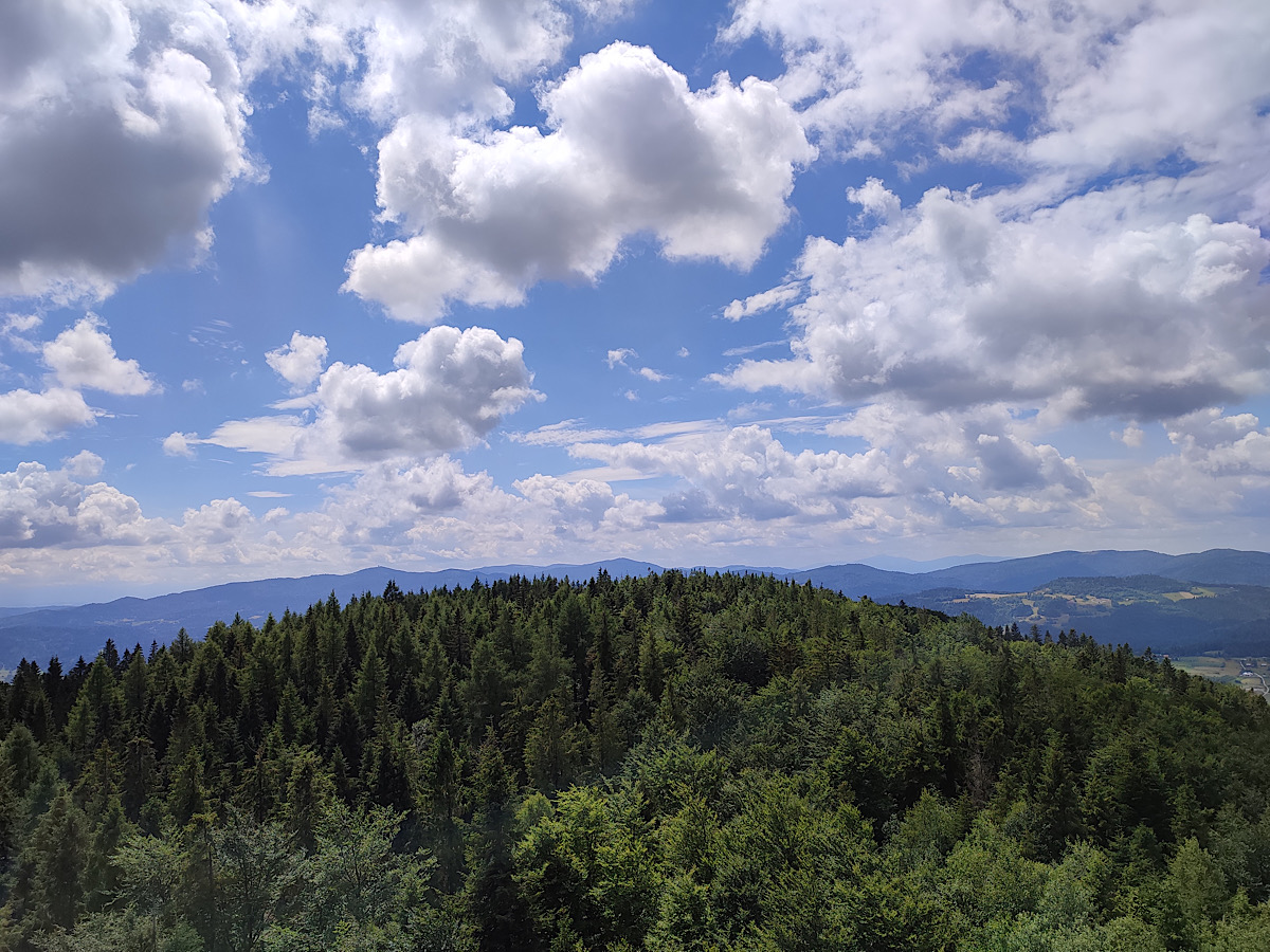 Modyń, widok, Beskid Sądecki